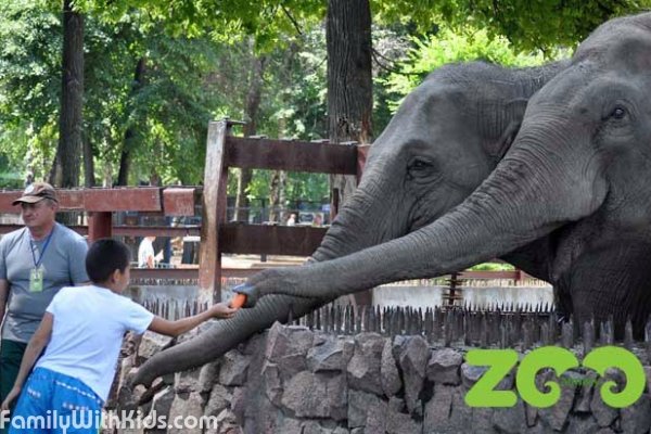 Зоопарк Алматы, Алматинский зоопарк, Казахстан