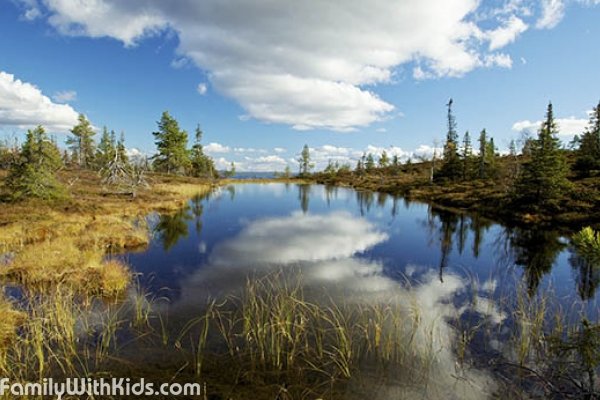 "Рииситунтури", Riisitunturi National Park, национальный парк на юге Лапландии, недалеко от Посио, Финляндия