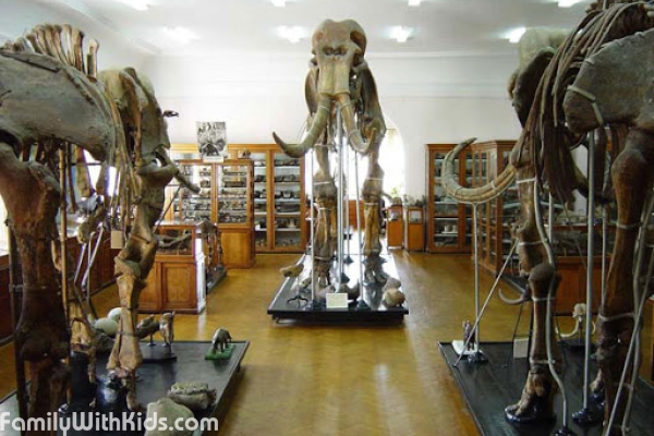 Палеонтологический музей в Одессе
