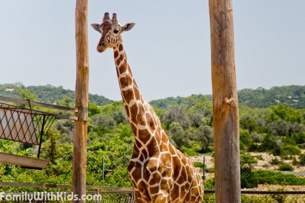 The Pafos ZOO, Cyprus