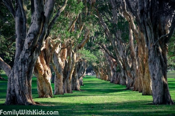 The Centennial Park with playgrounds in the eastern suburbs of Sydney, New South Wales, Australia