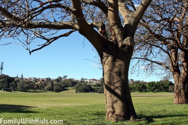 "Куинс", Queens Park, парк на юго-востоке Сиднея, Австралия
