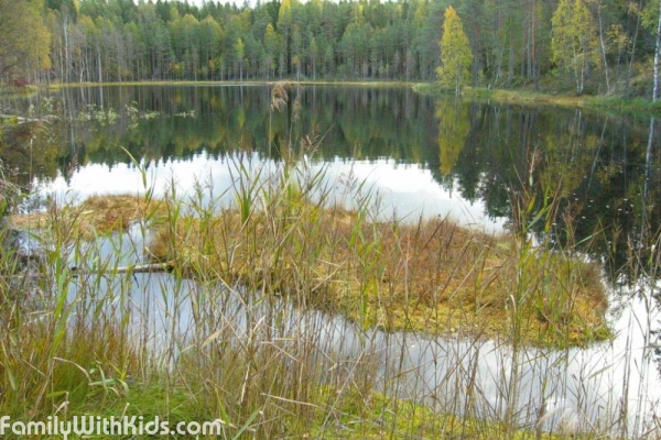 The Isojärvi National Park in Central Finland
