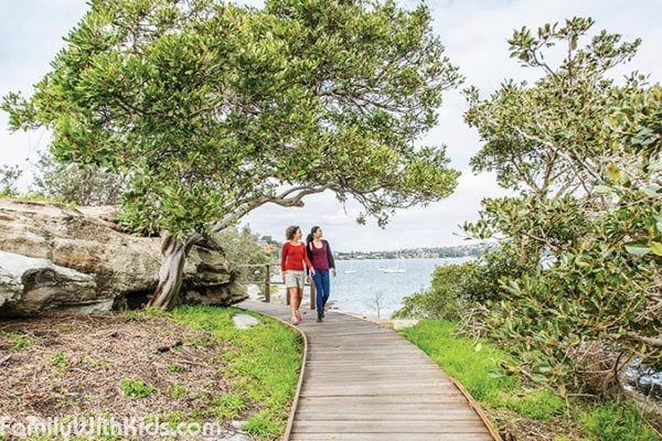 The Hermitage Foreshore Walk in Sydney Harbor National Park, Australia