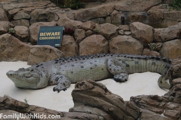 Crocodiles of the World, крокодиловый зоопарк, Оксфордшир, Великобритания