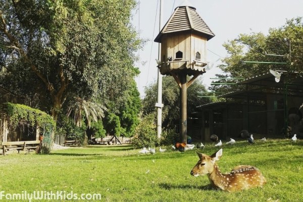 Зоопарк Дгания Алеф, Degania Alef Zoo