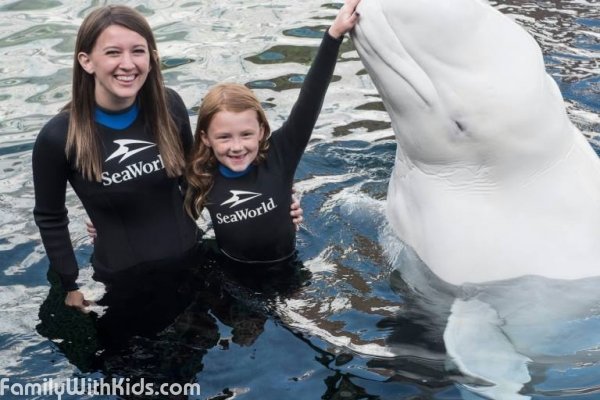 "Морской мир Орландо", SeaWorld Orlando, морской зоопарк в Орландо, США