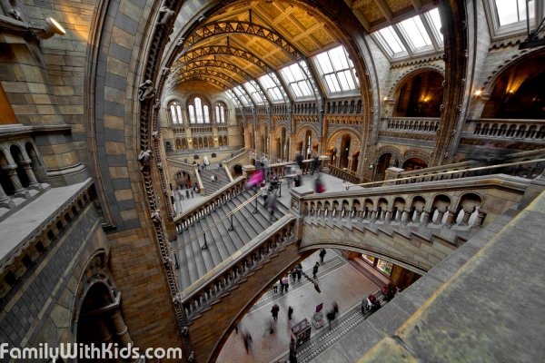 The Natural History Museum in London, Great Britain