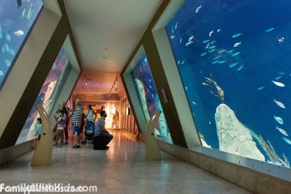 Стамбульский океанариум, Istanbul Aquarium, Турция