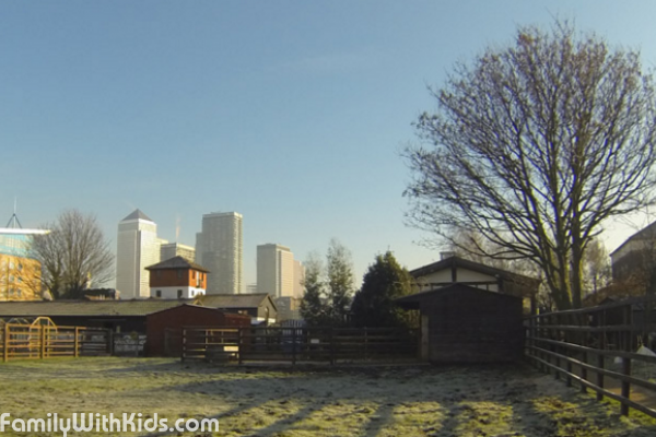 The Surrey Docks Farm in the centre of London, Great Britain