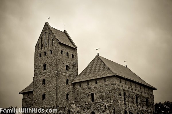 Тракайский замок, музей истории Тракая в Литве