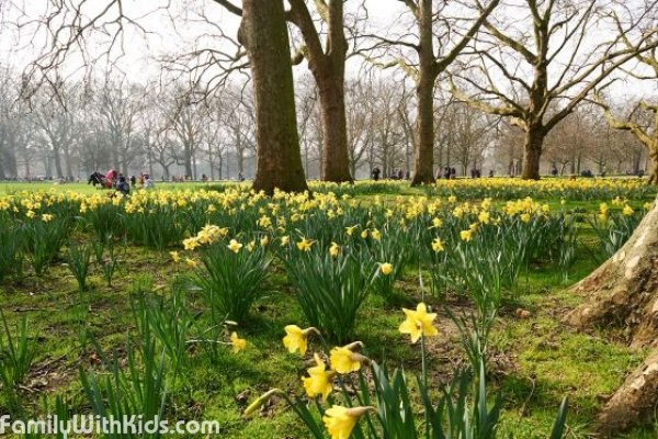 "Грин парк", Green Park рядом с Букингемским дворцом в Лондоне, Великобритания