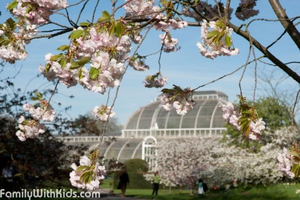 Kew Gardens in the London Borough of Richmond, Great Britain