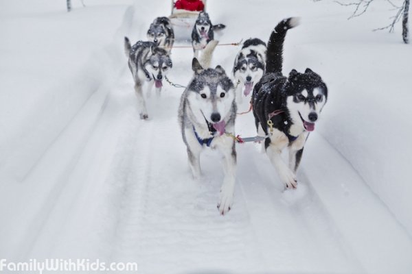 Erä-Susi Huskies, ферма хаски, сафари на хаски, сплавы на каноэ и каяках в Оуланке, Рука, Финляндия