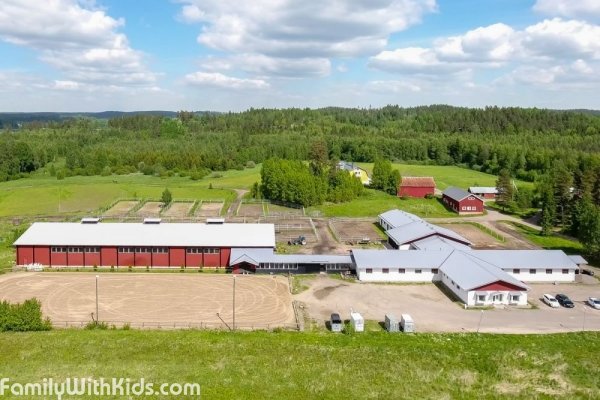 Vihti Dressage Center, horse riding classes for kids and adults not far from Helsinki, Finland
