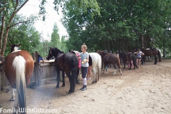 Vuorelan Talli, horseback riding center in Kuopio, Finland