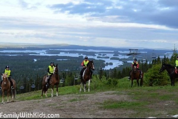 The Mökinmäen Stables, Mökinmäen talli, horse riding school near Nilsiä, Tahko, Finland