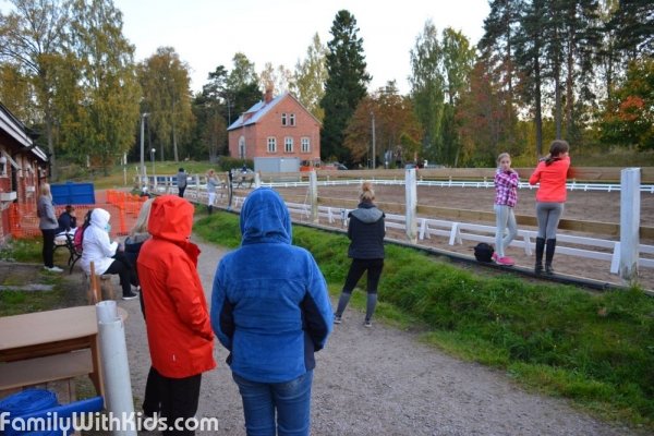 Espoon Talli, школа верховой езды для детей и взрослых в Эспоо, Финляндия