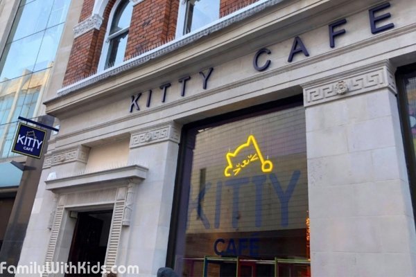 Kitty Cafe, кото-кафе в Leeds, Великобритания