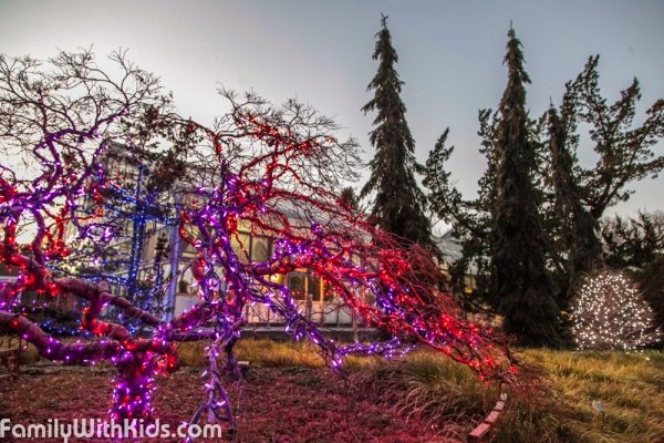 Photo The Garden Of Lights Festival The Brookside Garden And The