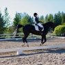Gobbacka Stall Ky, horse riding lessons for children and adults and summer camp in Espoo, Finland