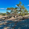 Varlaxudden Porvoo, Fågelboet cape, recreation area with shelters, walking trail and open sea view, Uusimaa