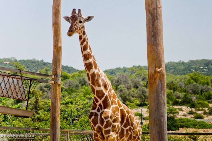 Зоопарк в пафосе кипр официальный сайт развитие туризма в германии