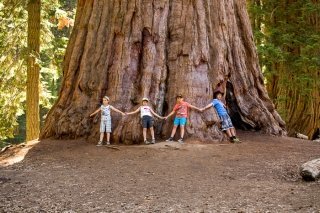 Photo review of the Sequoia National Park in California, USA
