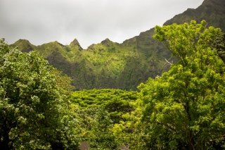 Pictures from the Ho'omaluhia Botanical Garden in Honolulu, Hawaii, USA