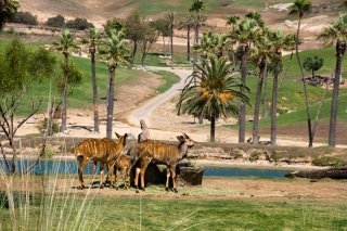 Images of the San Diego Wild Animal Park in California, USA