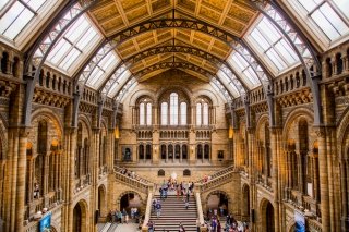 Photo review of the Natural History Museum in London, Great Britain