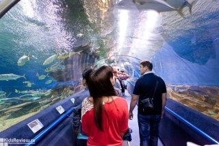 Things to Do with Kids in St. Petersburg: 10 Fun Ideas for a Winter or Summer Vacation in St. Petersburg, Russia 