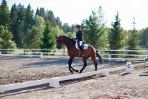 Dressage horse show for children and adults at Gobbacka Stall Ky in Espoo, Finland