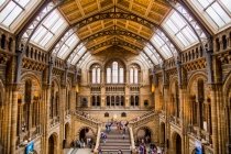 Музей естественной истории в Лондоне, Великобритания, фото